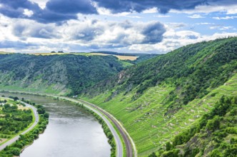 View over the Moselle and the Moselle valley near Winningen, Rhineland-Palatinate, Germany, Europe