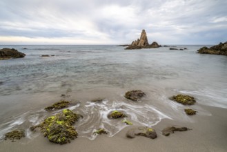 Rocky coast, rocks washed by water, Cabo de Gata-Nijar Natural Park, Almeria, Andalusia, Spain,