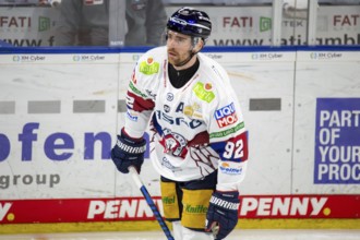 DEL, German Ice Hockey League season 2024/25, 52nd matchday: Adler Mannheim vs Eisbären