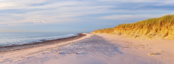 Sunny evening by the sea, unspoilt beach of the Baltic Sea with white sand at Darßer Ort in the
