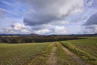 Agriculture, fields, hilly landscape, coniferous forest, landscape, landscape photography, blue