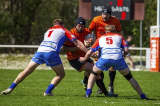 Rugby 1st Bundesliga South/West, Season 2024/25, Matchday 10: RG Heidelberg vs Heidelberger