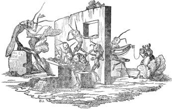 Chaos in the school of grasshoppers, parable about human life, depicted in caricatures of the