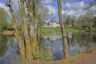 Pond with mossy tree trunks at Hofgut Imsbach, nature, moss, reflection, country inn, idyll,