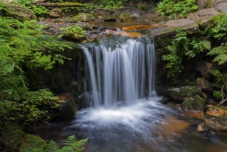An impressive waterfall flows over rocks in a green forest, White Oppa, Bílá Opava, Bila Opava,