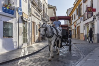Horse-drawn carriage travelling on a cobblestone street along historic buildings on a sunny day,