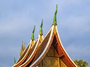 Roof of Wat Xieng Thong Sim ordination hall, Luang Prabang, Laos, Asia