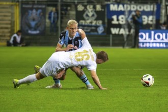 Football 3rd division, season 2024/25, matchday 12: Waldhof Mannheim vs SV Wehen-Wiesbaden.