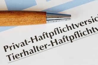 Close-up of private liability insurance documents