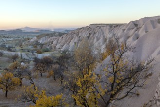 Twilight landscape with rocks and autumn trees in a hilly area, Cappadocia, Turkey, Asia