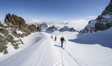 Ski tourer with rope, rope team on the Vadret da Porchabella glacier on the ascent to the summit of