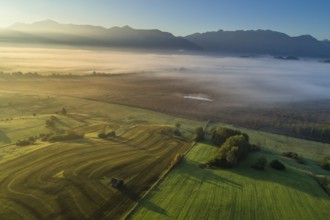 Aerial view of a meadow fertilised with liquid manure in front of a mountain landscape, morning