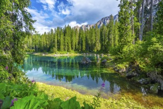 Emerald waters of lake carezza reflecting surrounding fir trees and latemar mountain range in