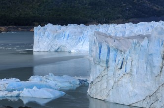 El Calafate, Patagonia, Argentina, Perito Moreno Glacier in Los Glaciares National Park. The Perito