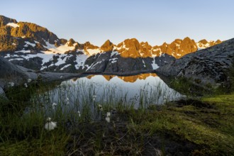 Rocky mountain peaks with reflection, small pond with cotton grass in moor landscape at Trollfjord