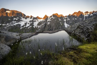 Rocky mountain peaks with snow, small pond with cotton grass in moor landscape at Trollfjord Hytta,