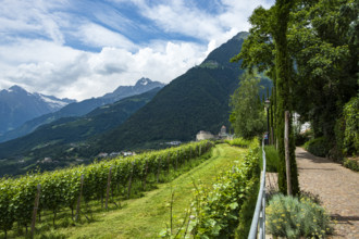 Tyrol Castle seen from Dorf Tyrol, medieval ancestral castle of the Counts of Tyrol and since 2003