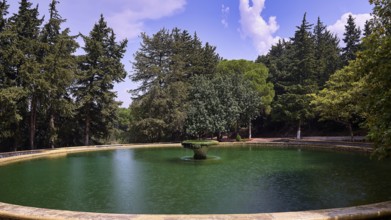 A round lake with a central fountain surrounded by tall green trees under a blue sky with clouds,