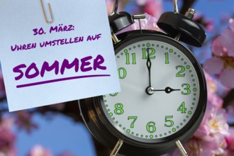 (Photomontage) Summer time changeover Symbolic image: Alarm clock in front of almond blossom and