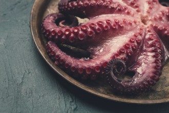 Boiled octopus, close-up, rustic style, no people, top view, close-up