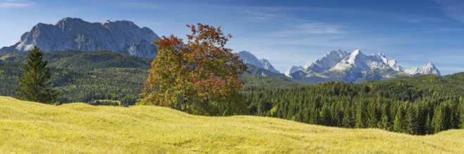 Humpback meadows between Mittenwald and Krün, Werdenfelser Land, behind it the Zugspitze, 2962m,