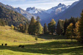 View from dOberallgäu, Allgäu, Bavaria, German Oytalstraße on mountains of the Allgäu Alps, autumn