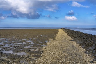 The Wadden Sea, East Frisia, between Bensersiel and Neuharlingersiel, at low tide, seabed