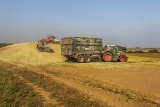 Piston Bully tracked bulldozer vehicles building silage clamp of sweetcorn maize in field stored