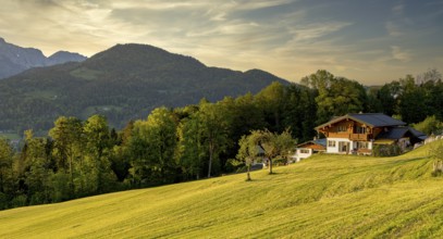 Landscape with meadows, farmhouse and mountains, Berchtesgaden, Bavaria, Germany, Europe