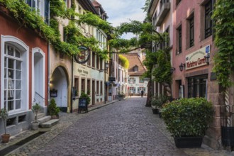 The Konviktstraße, pedestrian zone, Altstadtgasse in the historic old town of Freiburg im Breisgau,