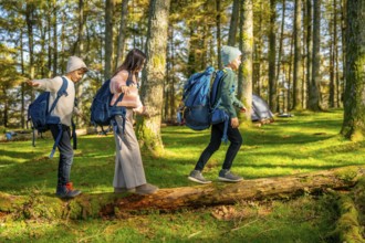 Full length photo of caucasian two brothers and a sister walking over a dead tree trunk while