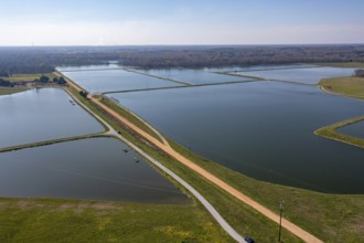Greensboro, Alabama - Catfish farm ponds in western Alabama