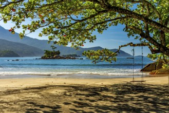 Wild beach of Castelhanos and its paradisiacal tropical landscape on the island of Ilhabela in Sao