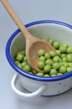 Fresh green peas in pot with wooden spoon, Pisum sativum