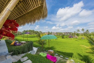 Café and bistro in the rice paddies, seating area, outdoor, gastronomy, travel, tourism, Ubud in