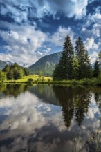Moorweiher, Oberstdorf, Oberallgäu, Allgäu, Bavaria, Germany, Europe