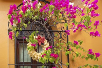 Oaxaca, Mexico, Scenic old city streets and colorful colonial buildings in historic city center,