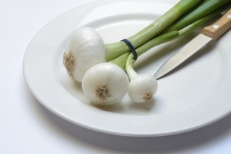 Onion, spring onions and knife on plate