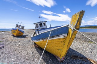 Colourful fishing boats lying ashore at low tide, Hualaihue, Hornopiren, Los Lagos region,