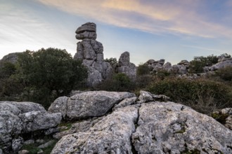 Bizarre limestone rock formations, El Torcal nature reserve, Torcal de Antequera, Malaga province,