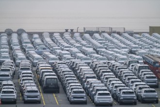 Parking space for import vehicles, hundreds of Hyundai Ioniq, electric cars, waiting for onward