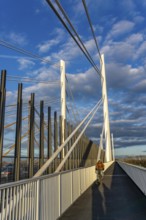 Piers and stay cables of the new motorway bridge of the A40, over the Rhine near Duisburg,
