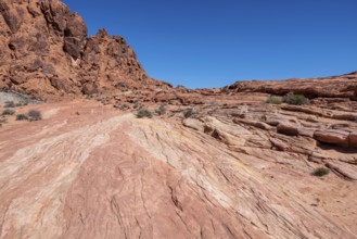 Layered rock formations along the Fire Wave Trail at Valley of Fire State Park near Overton, Nevada