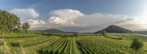 Winery in a panoramic landscape in stormy weather. Ihringen, Kaiserstuhl, Freiburg im Breisgau,