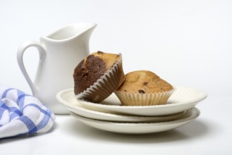 Chocolate muffins, chocolate muffins on a plate