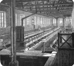 Egg production, chickens, incubators of the hatchery Hüningen, Alsace, France, in 1885, Historical,