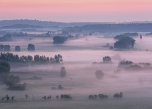 View from the Teufelsmauer (Devil's Wall) into the Harz foothills, landscape with trees and fields