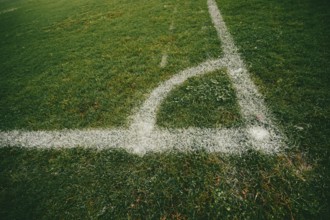 Green sports pitch with white marking lines, detailed turf