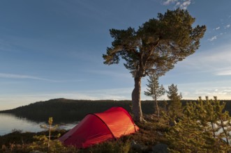 Tent at Lake Gutulisjoen, Gutulia National Park, Hedmark Fylke, Norway, Bivouac, Norway, Europe