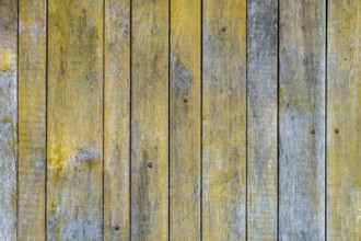 Texture, background, plank wall, wooden wall, peeling paint, Münsterland, North Rhine-Westphalia,